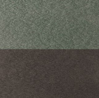 Standard Two Tone - Green on Black swatch